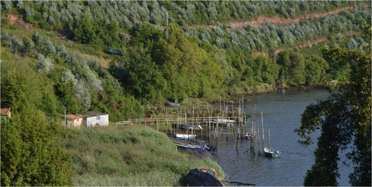La Quintana del Castillo Soto Del Barco Exterior foto